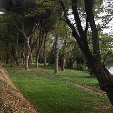 Pisa Appartamento Bonaini Exterior foto